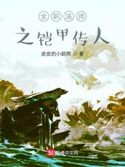 全职法师之铠甲传人封面