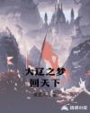 大辽之梦回天下封面