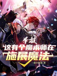 举报！这有个魔术师在施展魔法封面