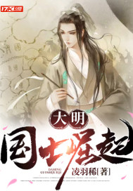 大明：國士崛起封面