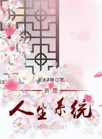 祈願人生系統封面