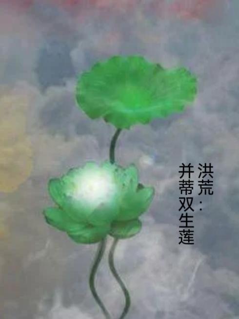 洪荒：並蒂雙生蓮封面