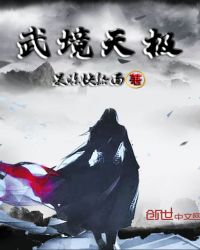 武境天极封面