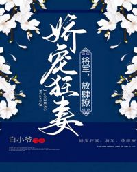 娇宠狂妻：将军，放肆撩封面