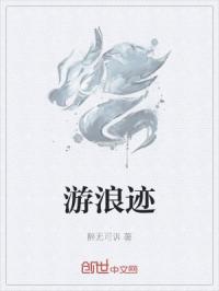 游浪迹封面