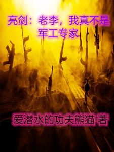 亮劍：老李，我真不是軍工專家封面