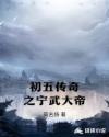 初五传奇之宁武大帝封面