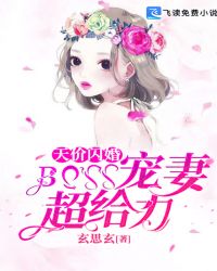 天价闪婚：BOSS宠妻超给力封面