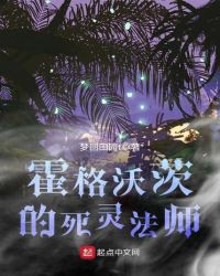 霍格沃茨的死灵法师封面