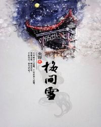 梅间雪封面