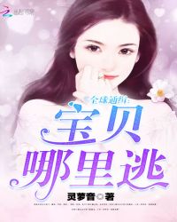 全球通缉：宝贝，哪里逃封面