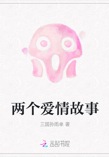 两个爱情故事封面