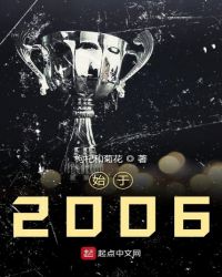 始于2006封面