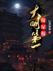 大明第一攪屎棍封面