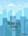 红雨白刀1999封面