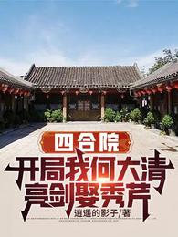 四合院：開局我何大清亮劍娶秀芹封面