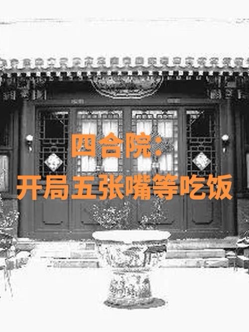 四合院：开局五张嘴等吃饭封面