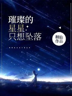 璀璨的星星只想墜落封面