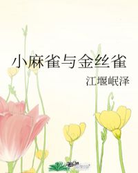 小麻雀与金丝雀封面