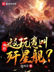 鴻鈞：這玩意叫殲星艦？封面