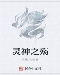 灵神之殇封面