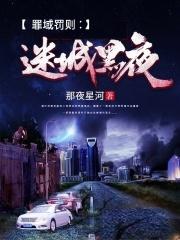 迷城黑夜封面