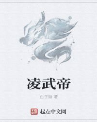 凌武帝封面