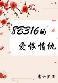 8B316的爱恨情仇封面