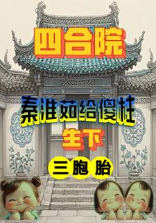 四合院秦淮茹給傻柱生下三胞胎封面