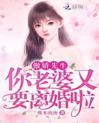 傲嬌先生，你老婆又要離婚啦！封面