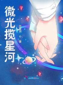 微光攬星河封面