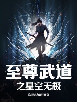 至尊武道之星空无极封面